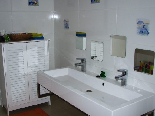 Badezimmer Flohzirkus